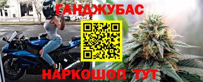 jwh Камышлов