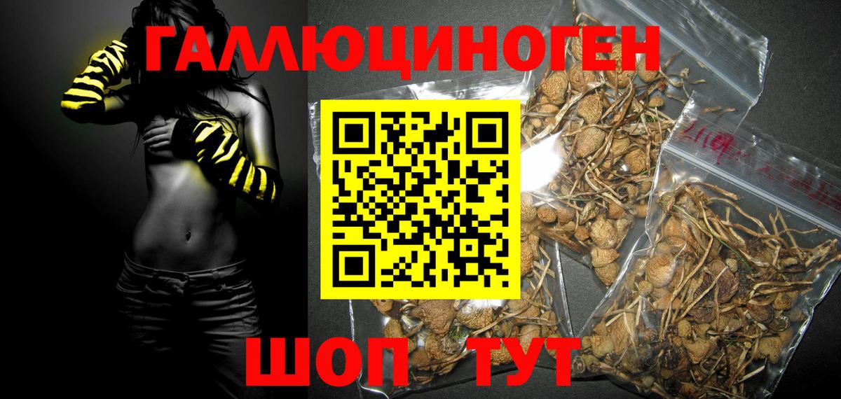 Краснознаменск  Галлюциногенные грибы мицелий  Вход с VPN 