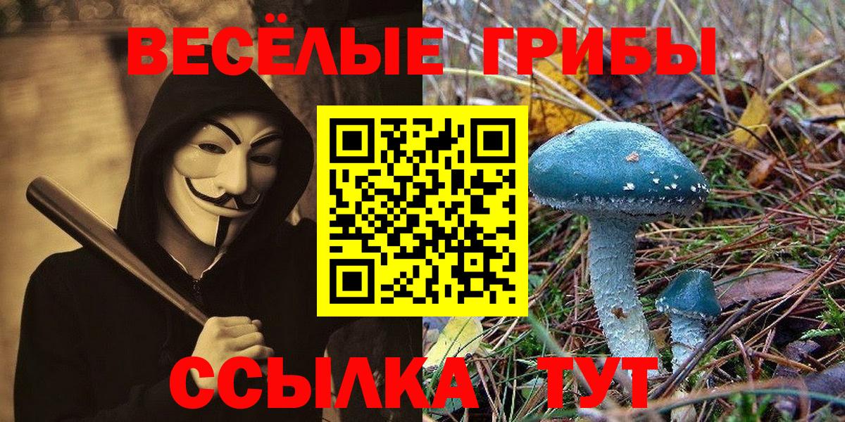 Галлюциногенные грибы прущие грибы Краснознаменск